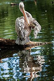 《绝地潜兵2》Steam玩家流失90% 当前在线3.3万